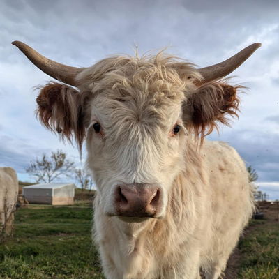 Gr8ful Roots Farm profile picture