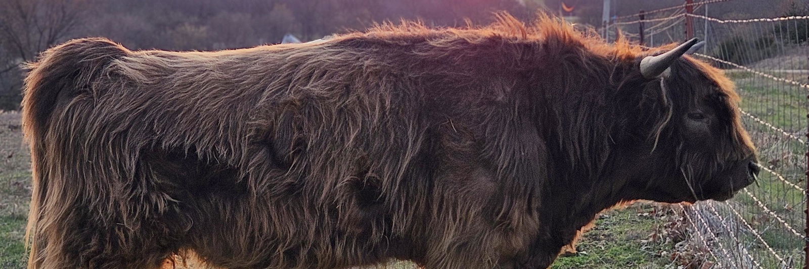 Paige Graves profile cover image