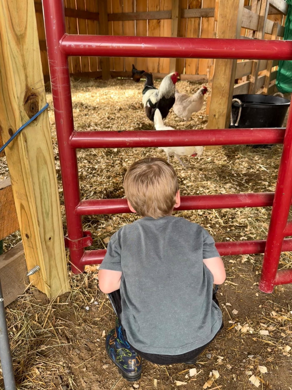 Private Farm Tour, photo 8