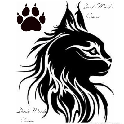 Darkmrkcoons profile picture