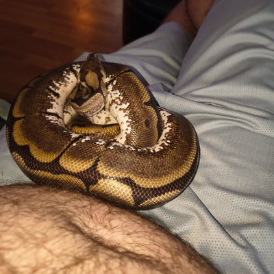Belladonna profile picture