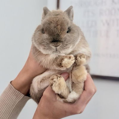 Derious profile picture