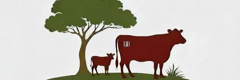 Beau Baker profile cover image