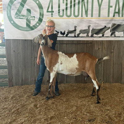 Fare Thee Well RMC Courtney profile picture