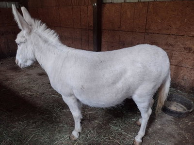Reality’s Ivy profile picture
