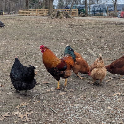 Bernardo profile picture