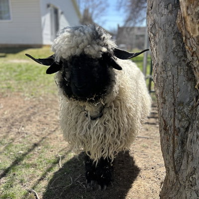 JTMC Hazel profile picture