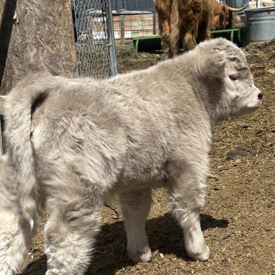 JTMC Olive profile picture