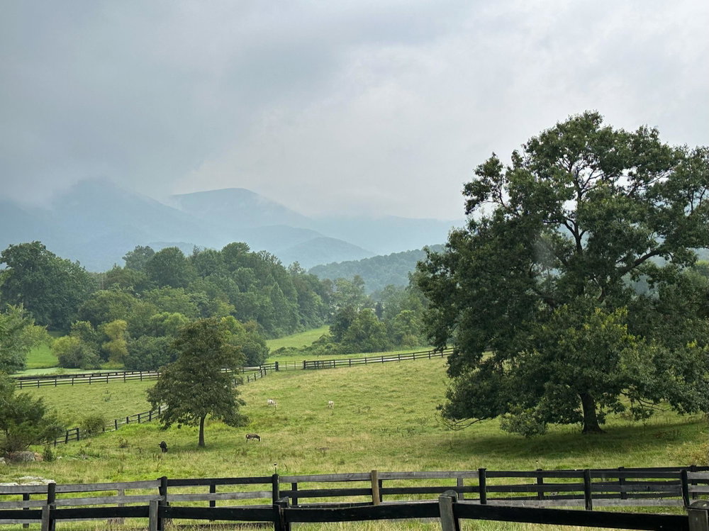 Virginia Pasture Cattle Boarding, photo 2