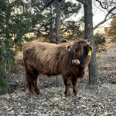 Leah Cave profile picture