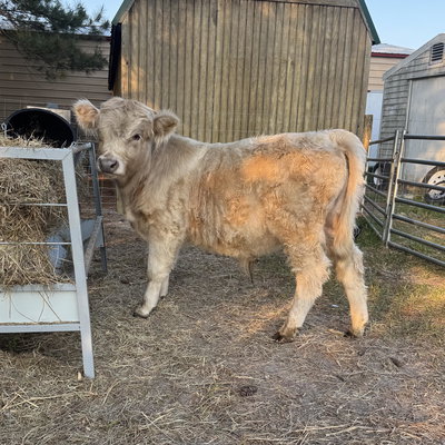 Spook profile picture