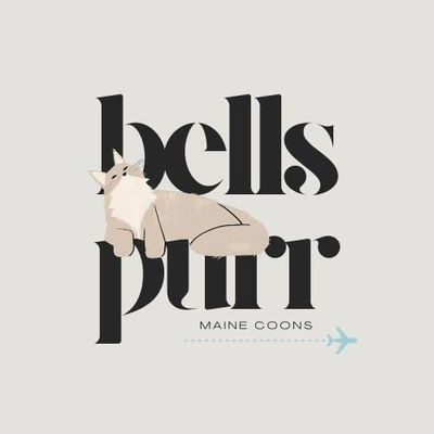 Bellspurr Maine Coons profile picture