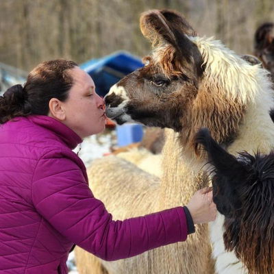 Steel Valley Llamas profile picture