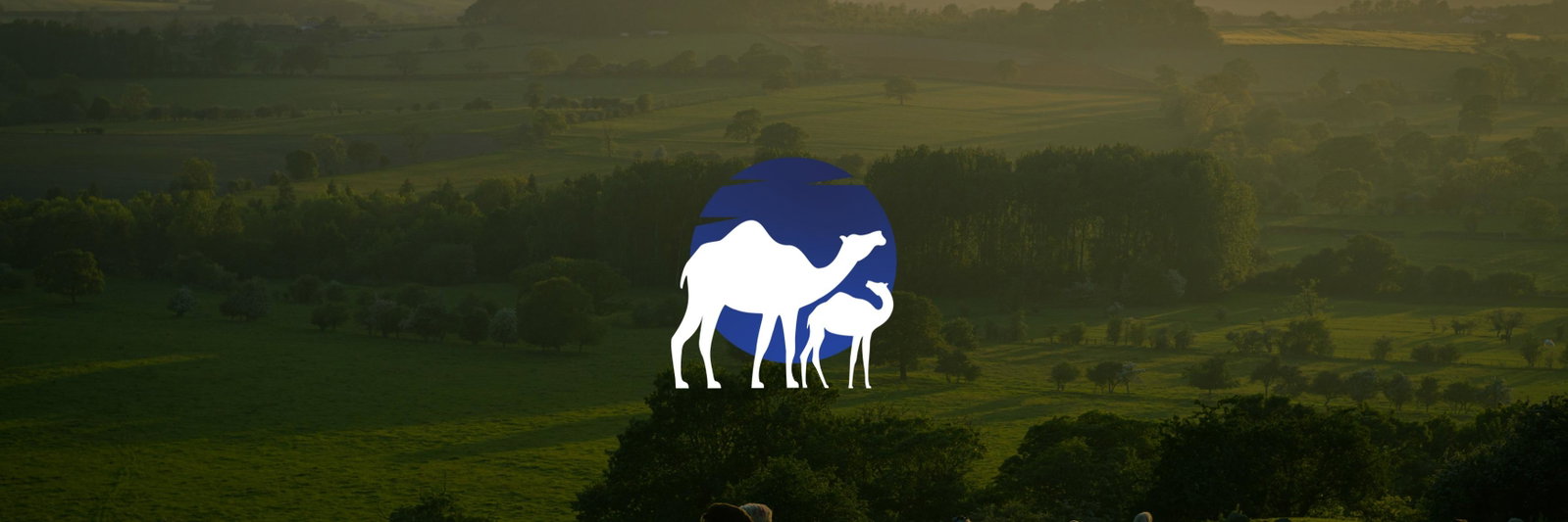 Ahmed Ali profile cover image