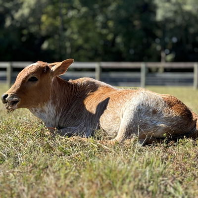 Ella profile picture