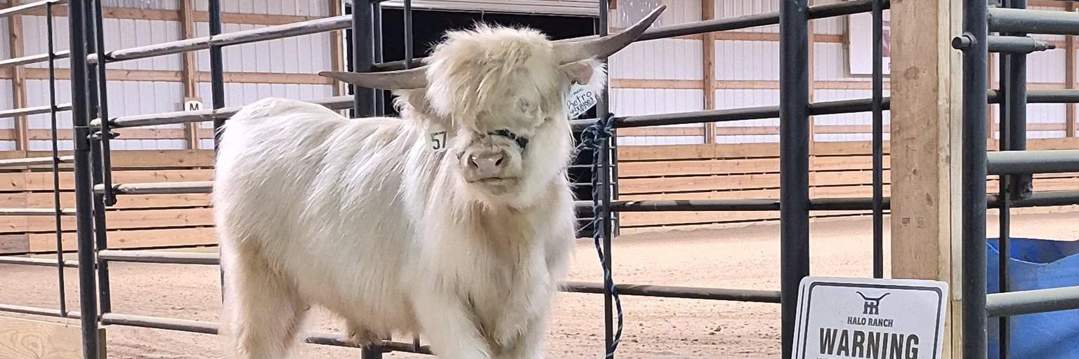 CRCC Retro profile cover image