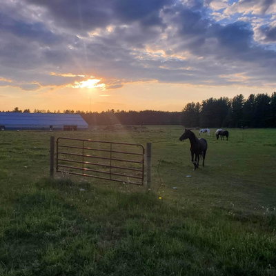 Serenity Ranch profile picture