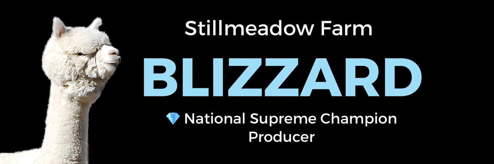 Stillmeadow Farm Blizzard profile cover image