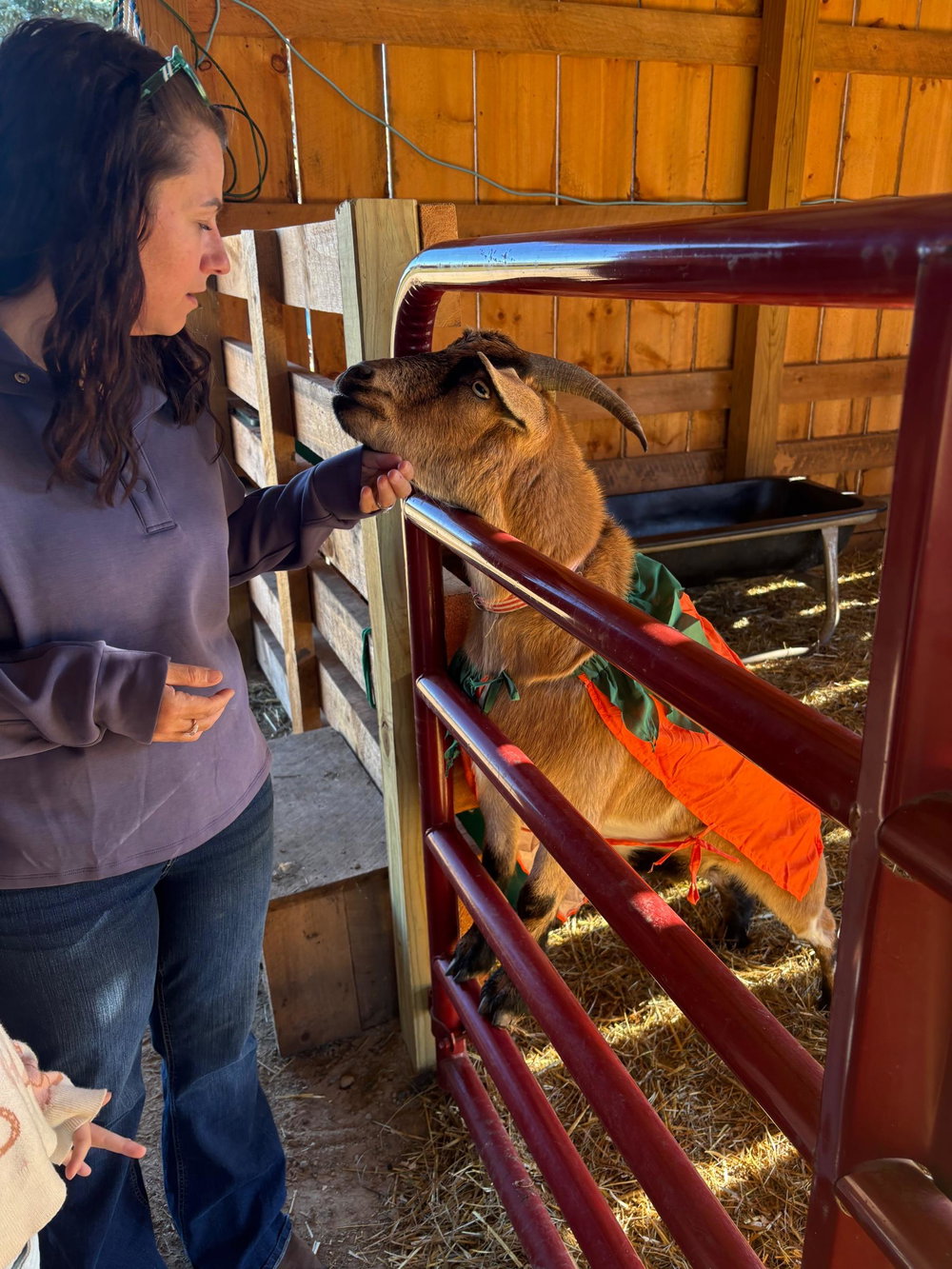 Highland Farm Tour, photo 7