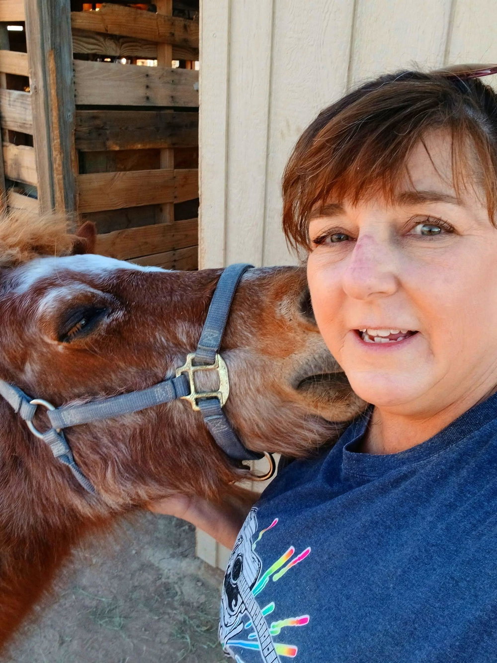 Donkeys of Pahrump Private Tour, photo 4