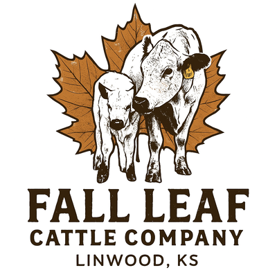 Fall Leaf Cattle Company profile picture
