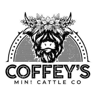 Coffey’s Mini Cattle Co. profile picture