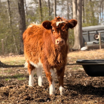 Blanche profile picture