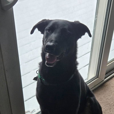 Tater profile picture