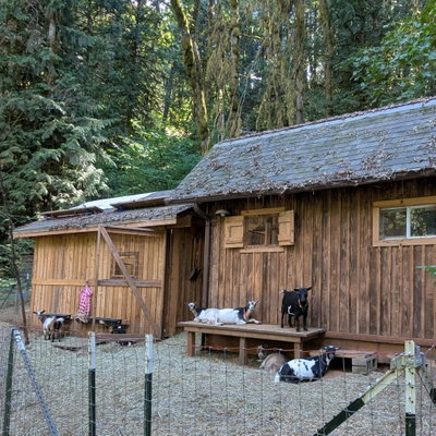 Shady Creek Homestead profile picture