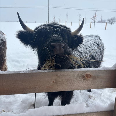 Esther profile picture