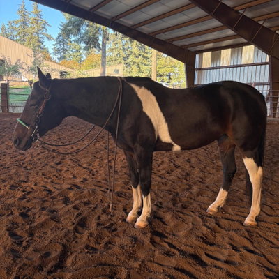 Sadie profile picture