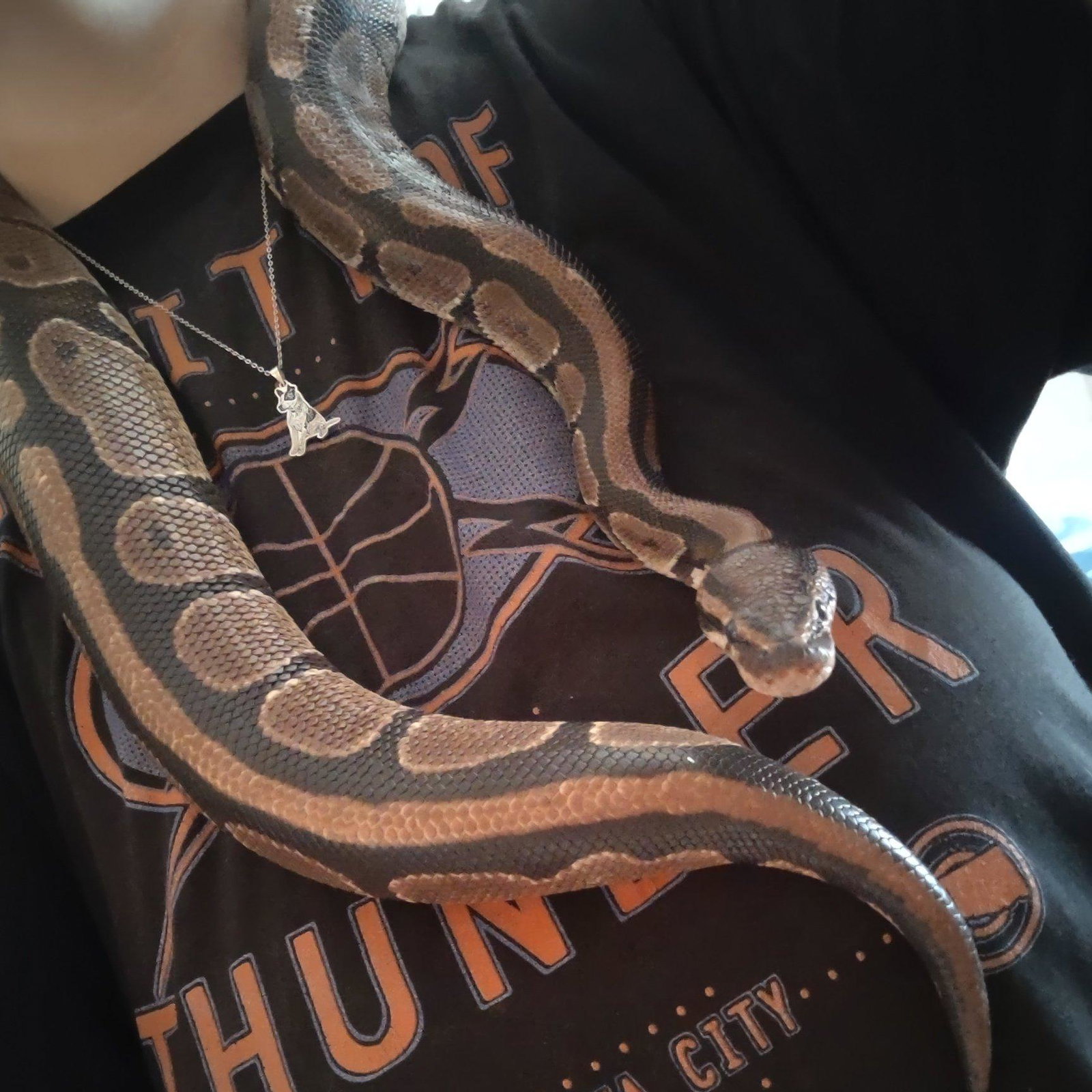 Midna