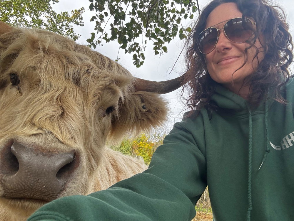 Cow Cuddles, photo 4