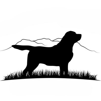 Sweet Valley Acre's Labradors profile picture