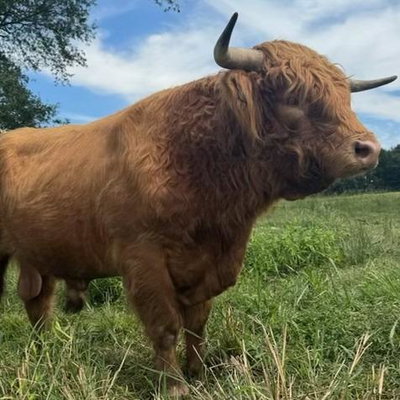 London profile picture