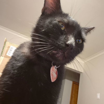 Spooky profile picture