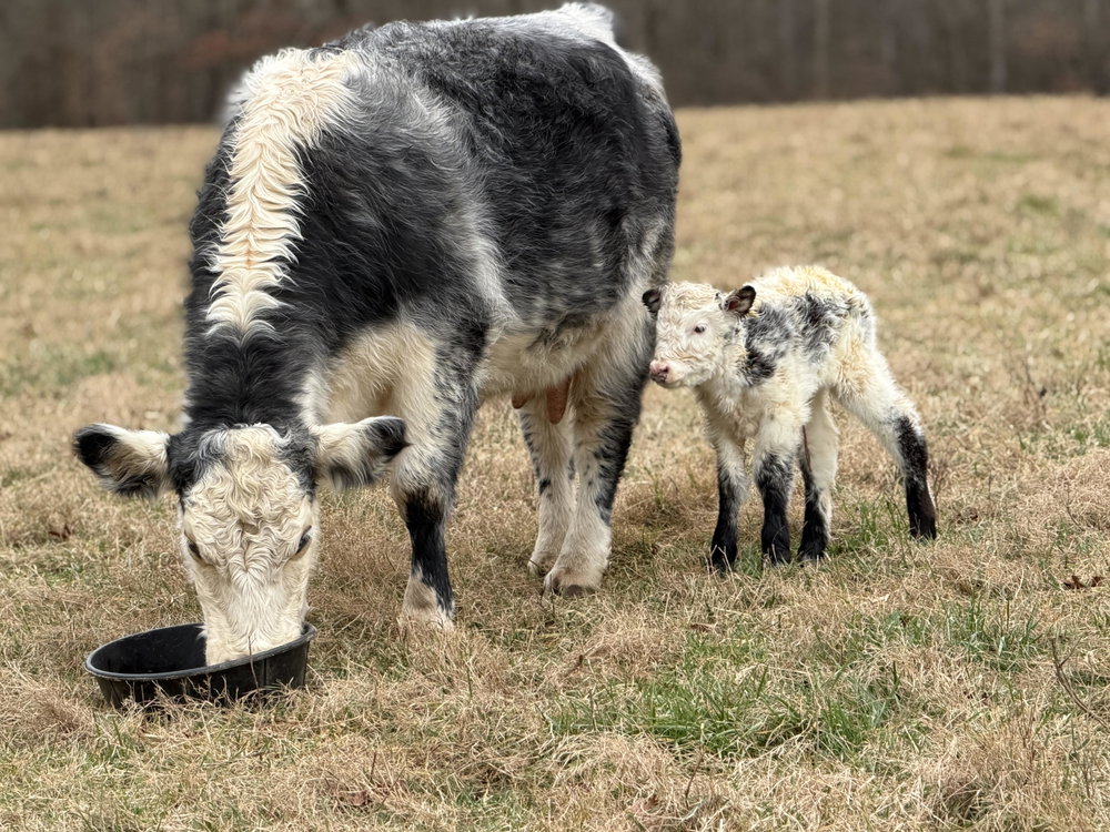 CoCo, photo 6