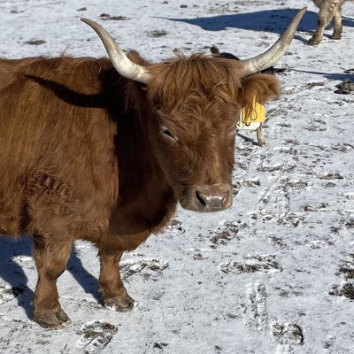 A Peculiar Farm Fruit Punch profile picture