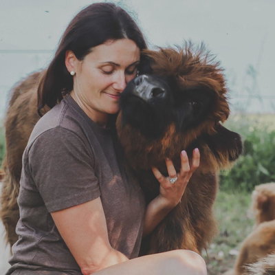 Brand Hollow Farm LLC profile picture