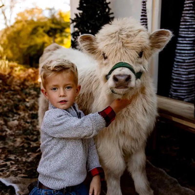 TFF Miranda profile picture