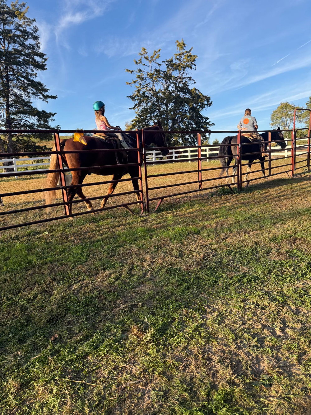 Lessons, photo 1
