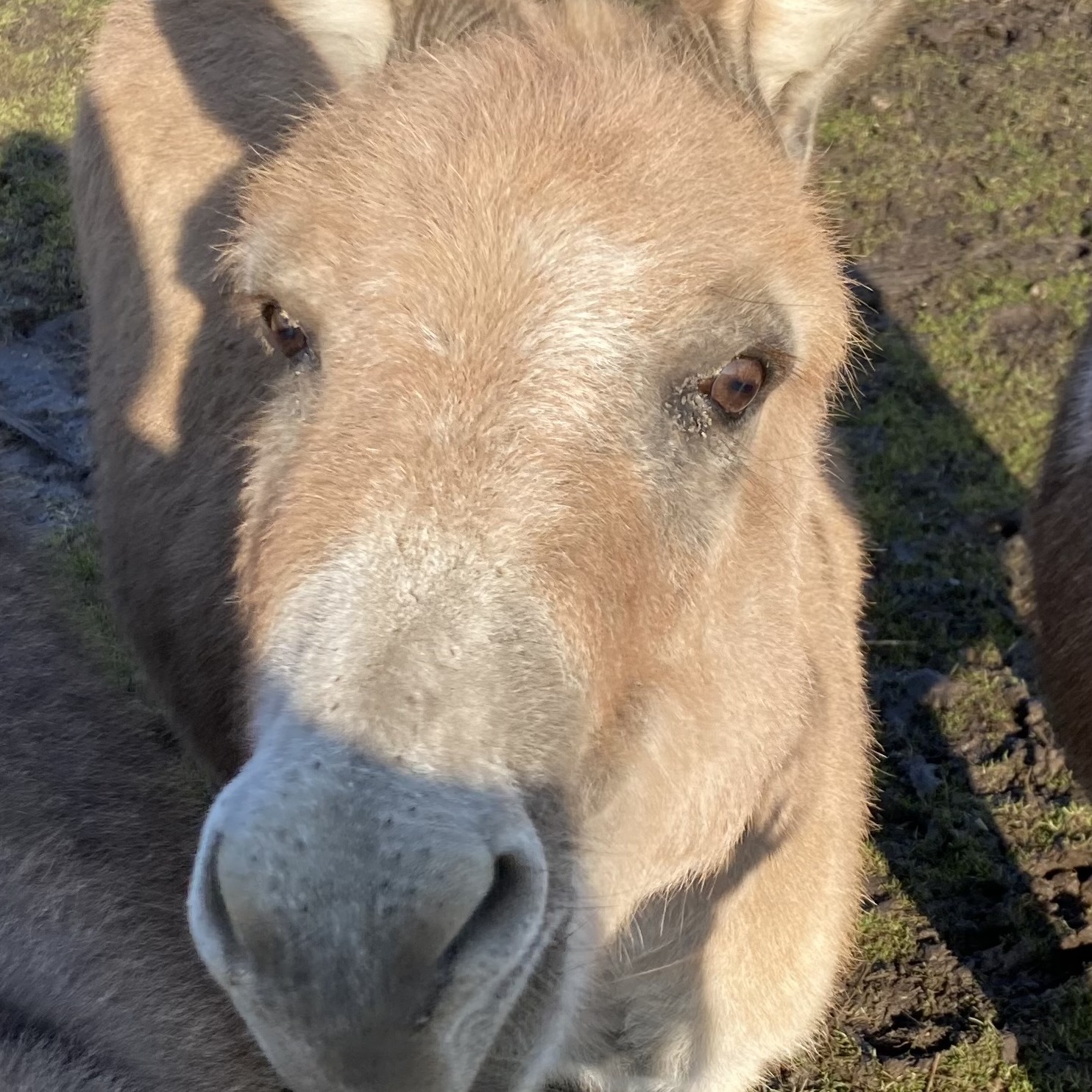 Delila profile picture