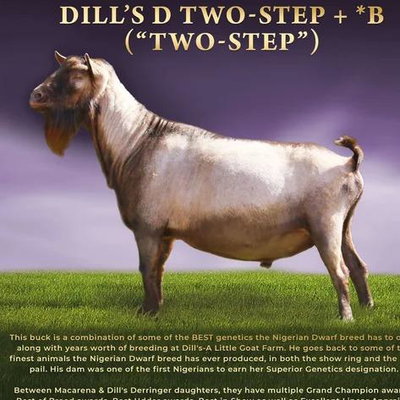 Dill's D Two-Step ++*B profile picture