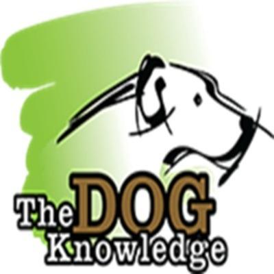 The Dog Knowledge profile picture
