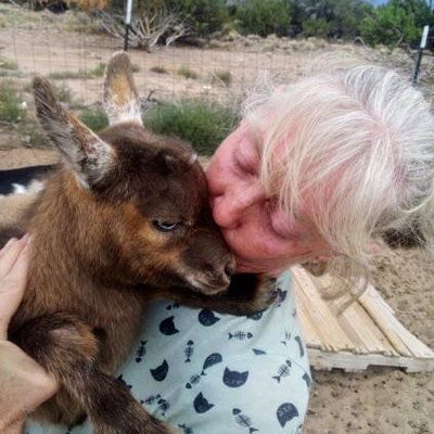 Coleen Johnson profile picture