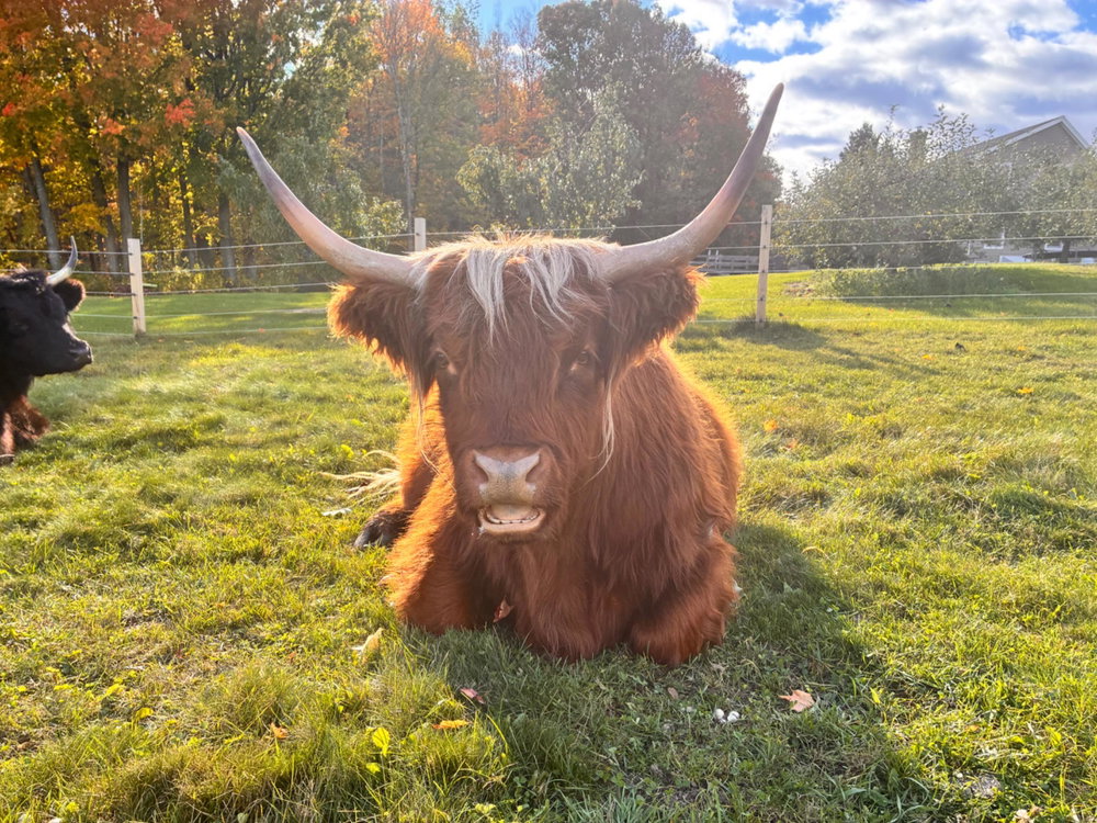 Private Farm Tour, photo 4
