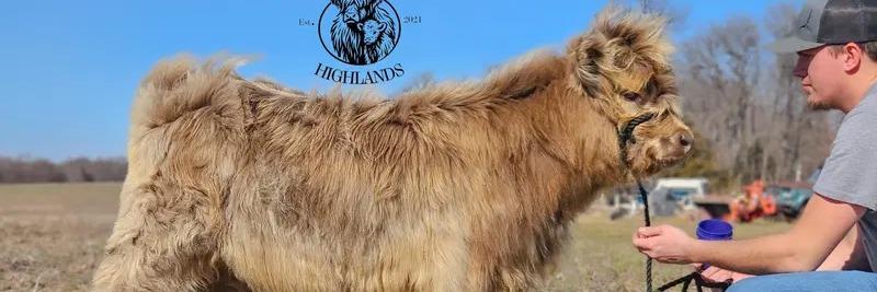 Willow Rose of Kilmacolm profile cover image