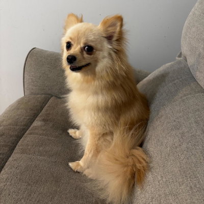 Sonny profile picture