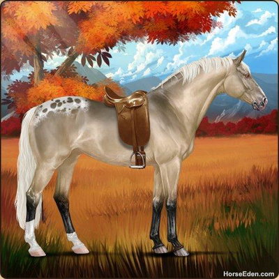 Wild Breeze profile picture