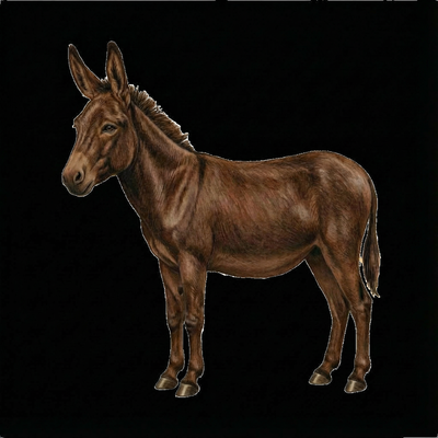 Donk 23 profile picture